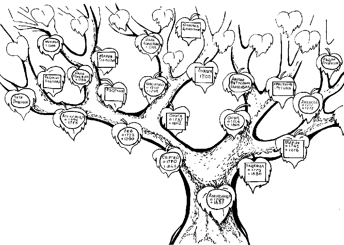 Arbol genealogico dibujo
