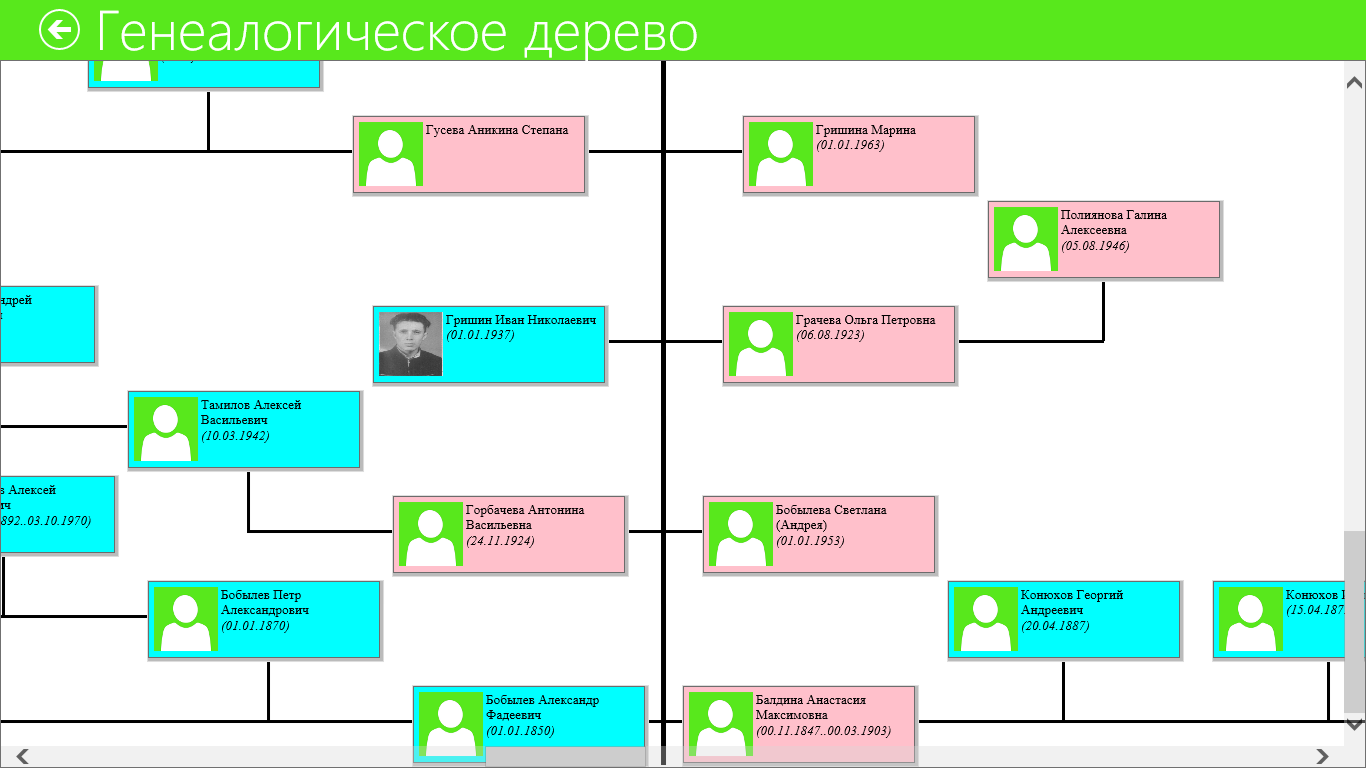 Бесплатная программа генеалогического древа на русском